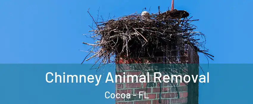  Chimney Animal Removal Cocoa - FL
