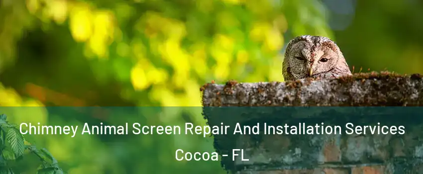  Chimney Animal Screen Repair And Installation Services Cocoa - FL