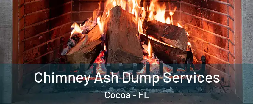  Chimney Ash Dump Services Cocoa - FL