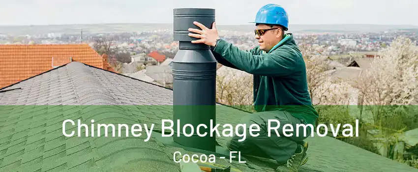  Chimney Blockage Removal Cocoa - FL