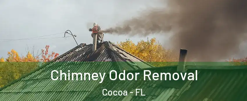  Chimney Odor Removal Cocoa - FL