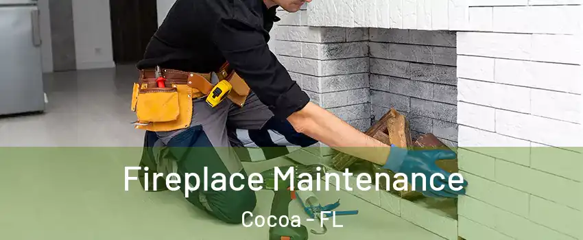 Fireplace Maintenance Cocoa - FL