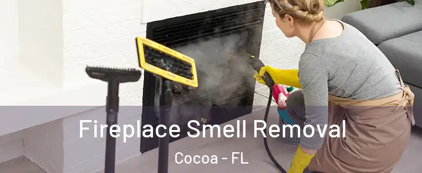  Fireplace Smell Removal Cocoa - FL