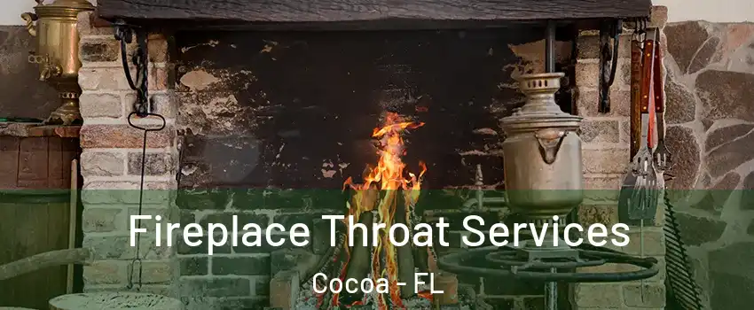  Fireplace Throat Services Cocoa - FL