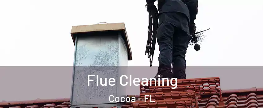  Flue Cleaning Cocoa - FL