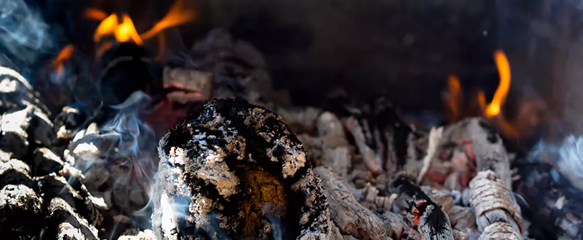 Creosote Removal Experts in Cocoa, FL