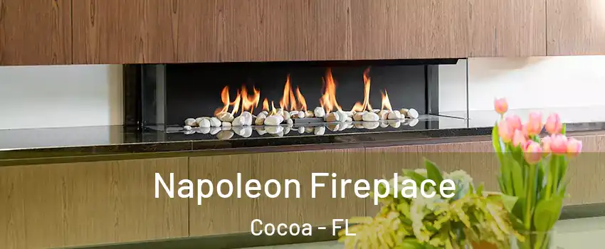  Napoleon Fireplace Cocoa - FL